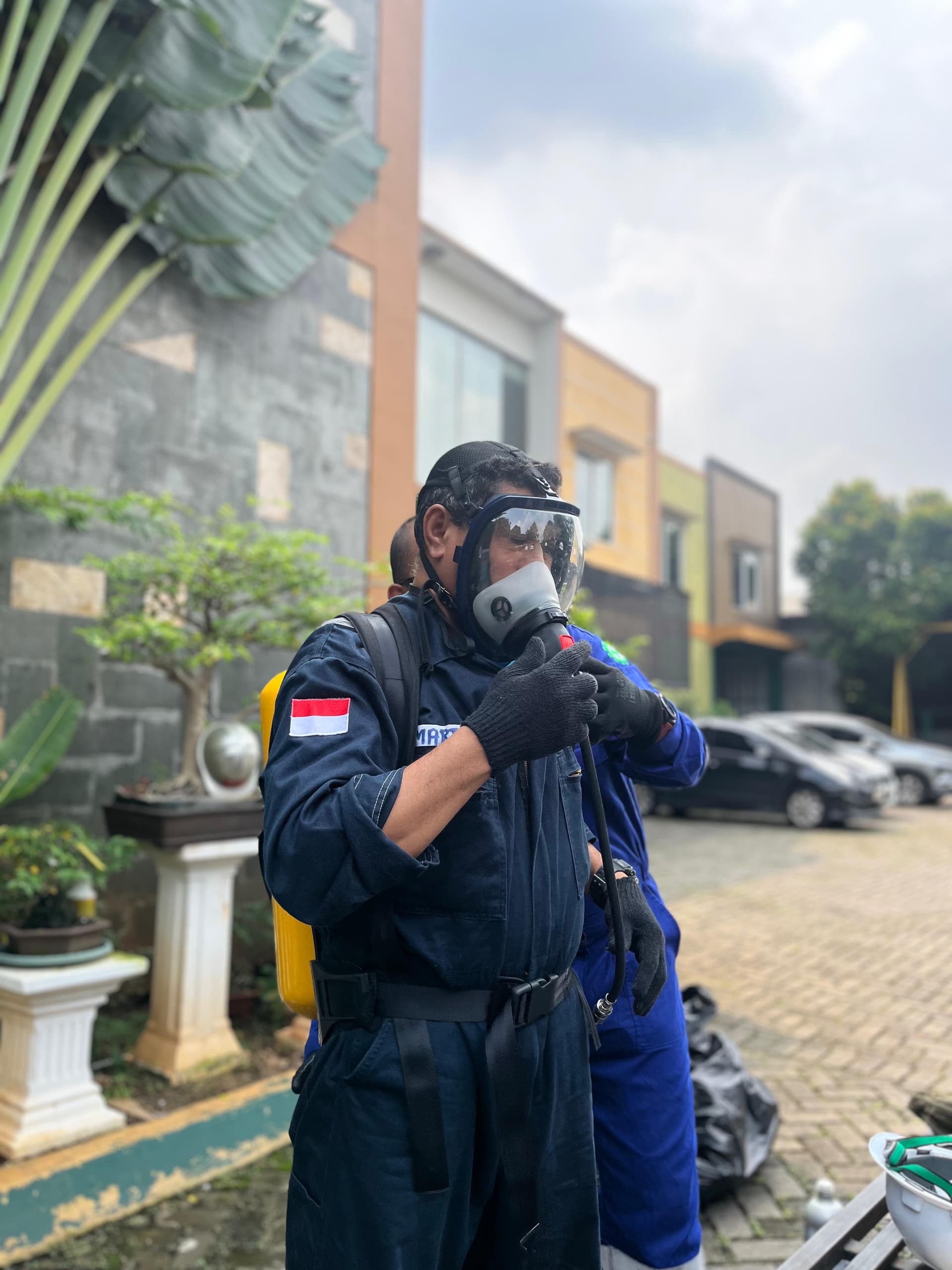Client 29